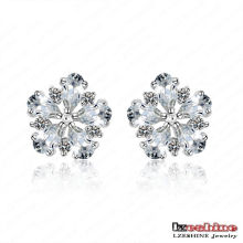 Exquisite Fashion Flower Jewelry Earrings/Brinco (CER0026-B)